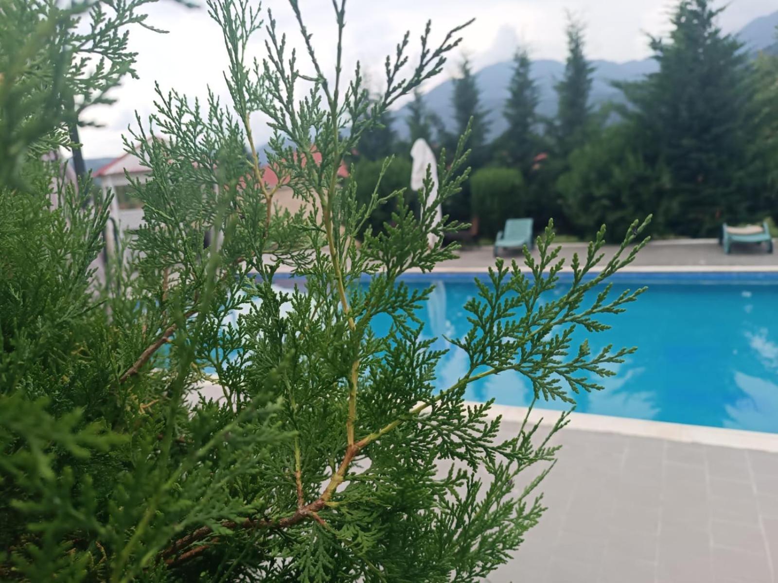 Gabala Bliss Inn Hotel And Restaurant Esterno foto