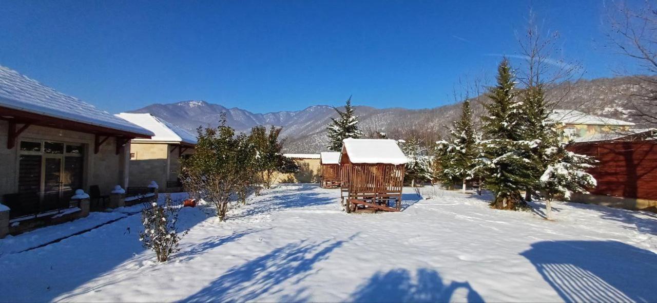 Gabala Bliss Inn Hotel And Restaurant Esterno foto